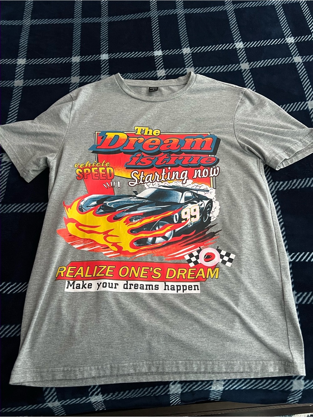 Gray The Dream Is True Graphic T shirt Size Small